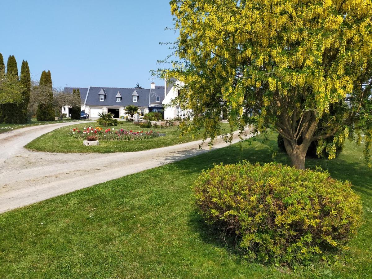 Hirel Petit Chatelet Bis المظهر الخارجي الصورة